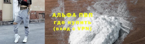 гашик Вяземский