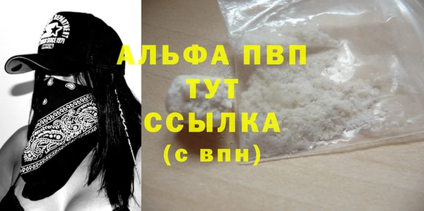 гашик Вяземский
