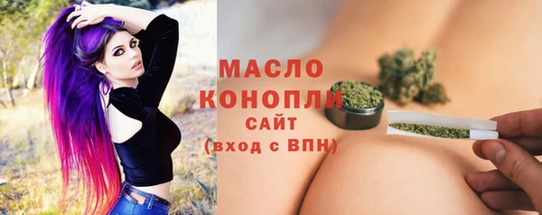 гашик Вяземский