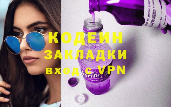 гашик Вяземский