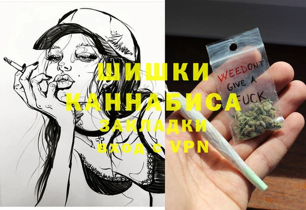гашик Вяземский
