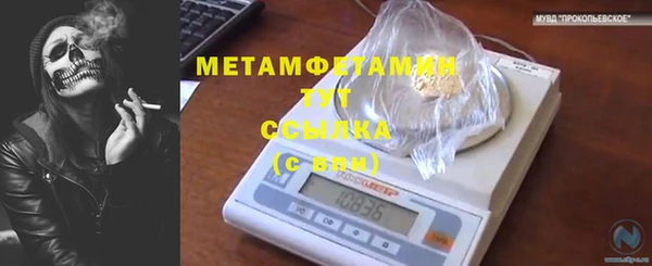 мяу мяу мука Вязьма