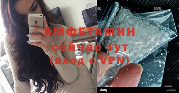 гашик Вяземский