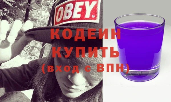 гашик Вяземский