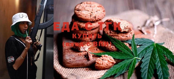 гашик Вяземский