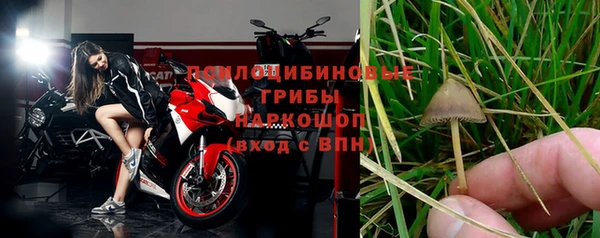 гашик Вяземский