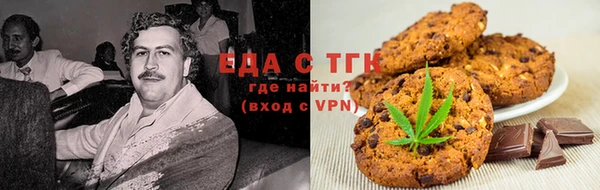 гашик Вяземский