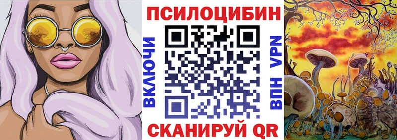 omg вход  Дно  Псилоцибиновые грибы прущие грибы 